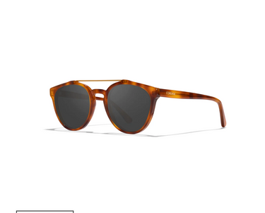 Cordina Twin Palms Shiny Honey Tortoise/Grey Polarized